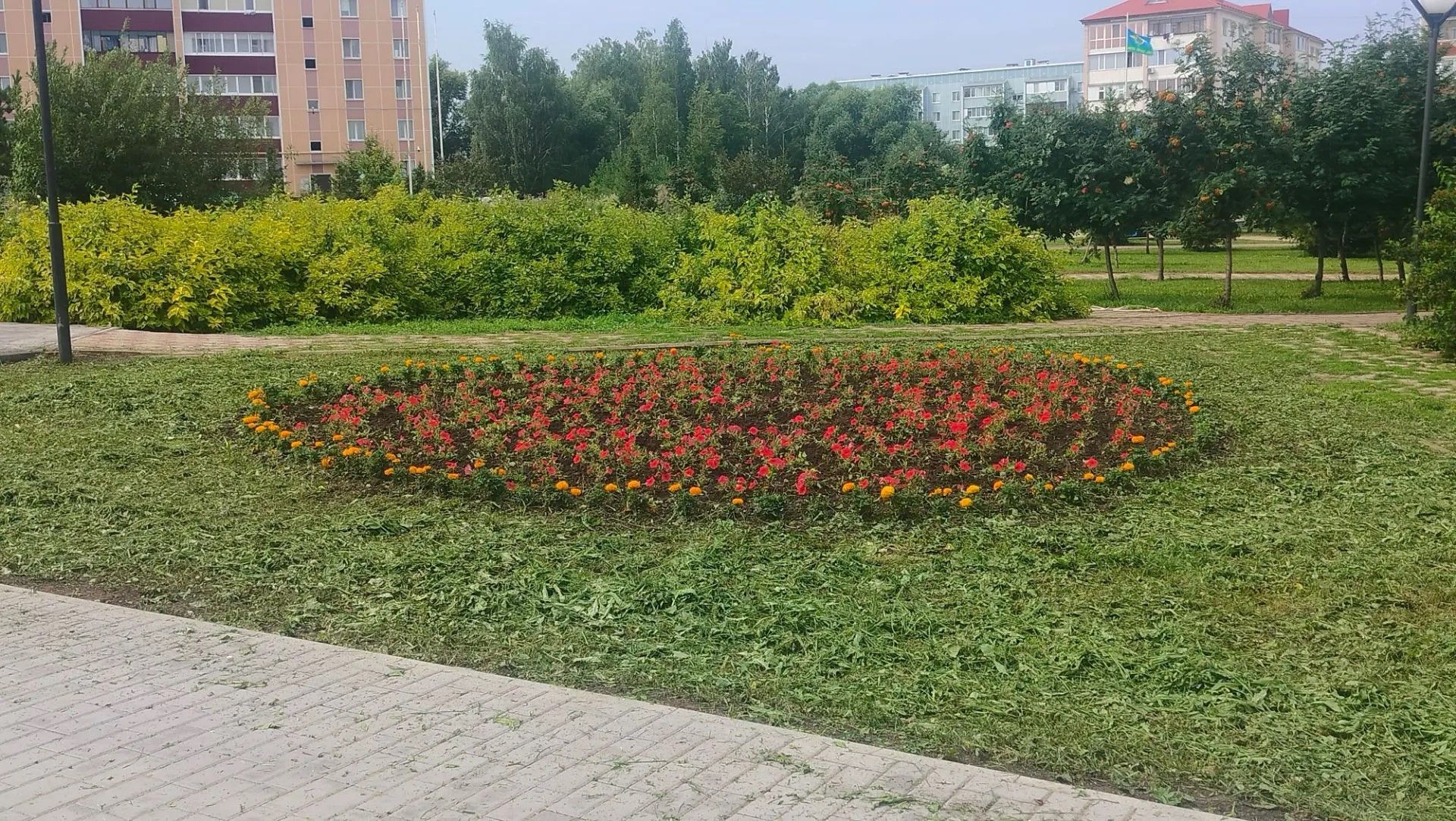 Зеленый наряд города: сотрудники АО «МППБиО +» готовят улицы к лету
