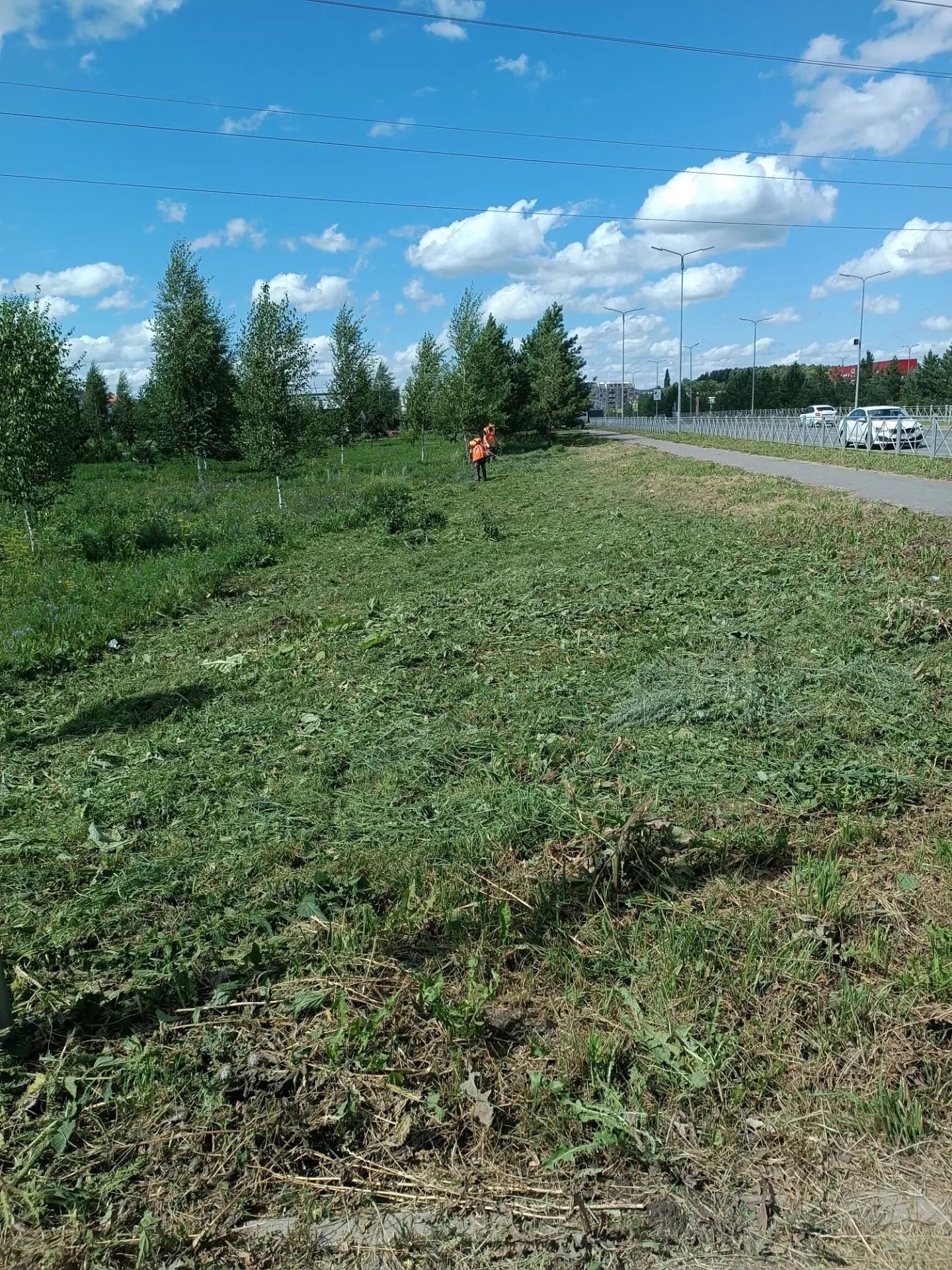 С любовью к городу: работа сотрудников АО “МППБиО +”
