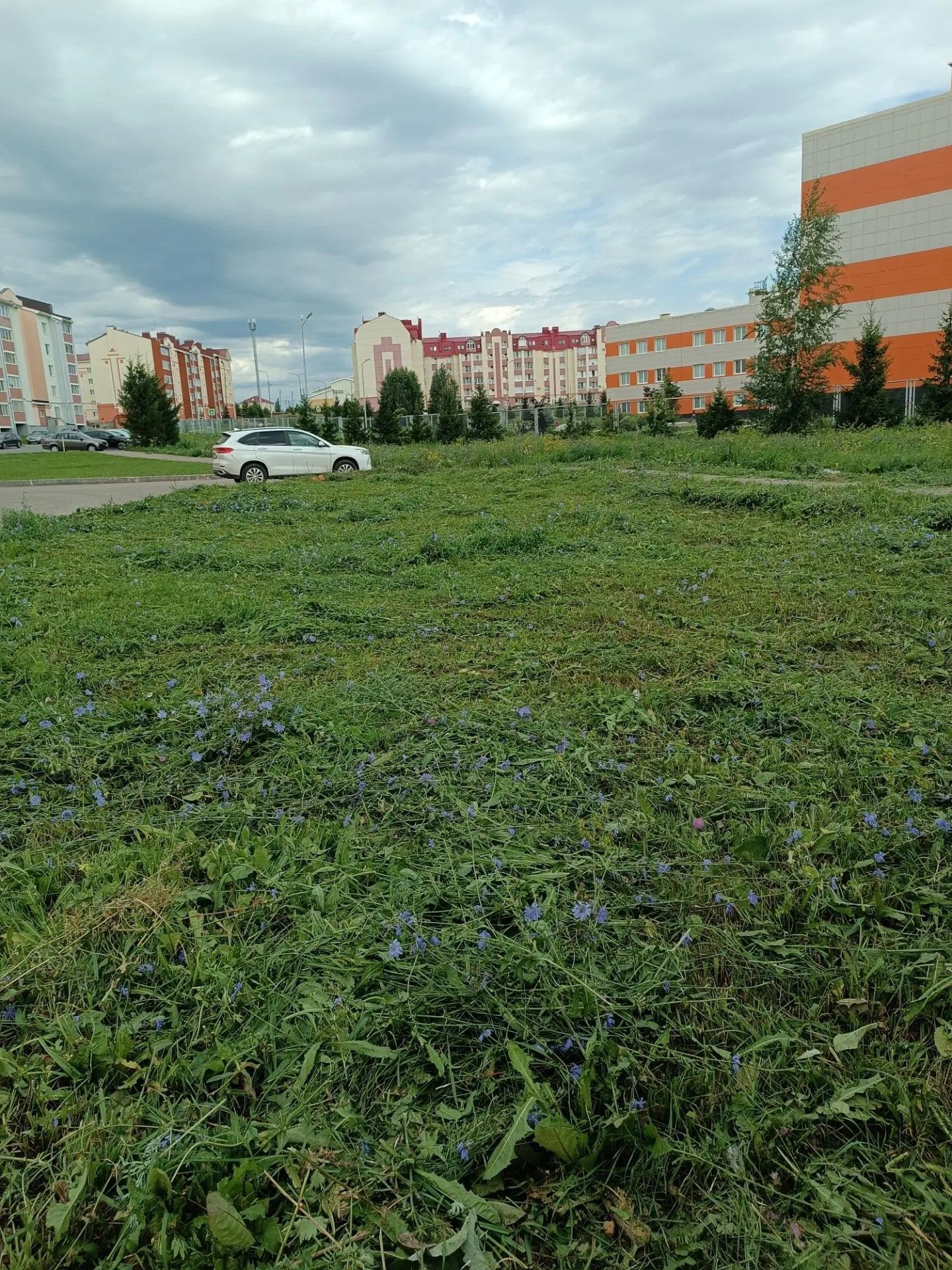 Покос травы в Азнакаево идёт полным ходом!