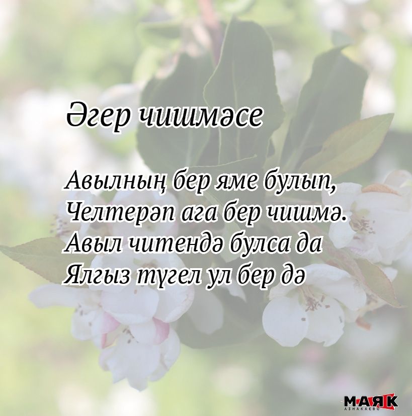 Миләүшә Тимбакованың иҗаты
