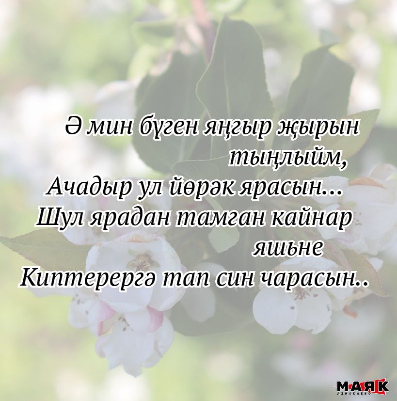 Эльвира Камалетдинованың иҗаты