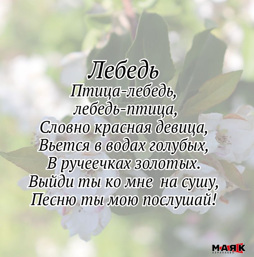 Стихи Дарины Аксановой