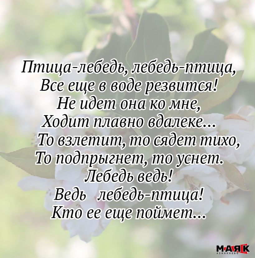 Стихи Дарины Аксановой