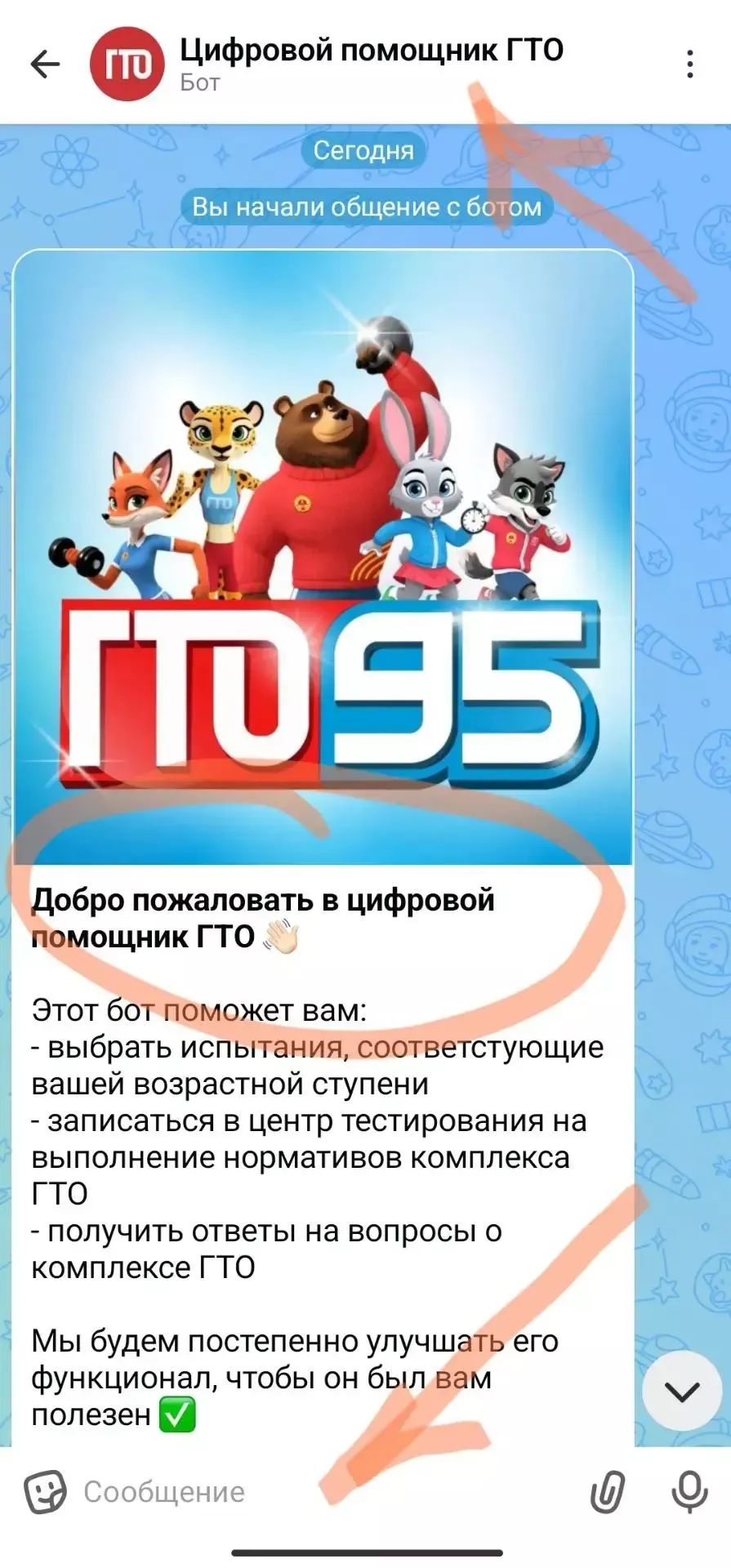 Новый сервис: «Цифровой помощник ГТО»