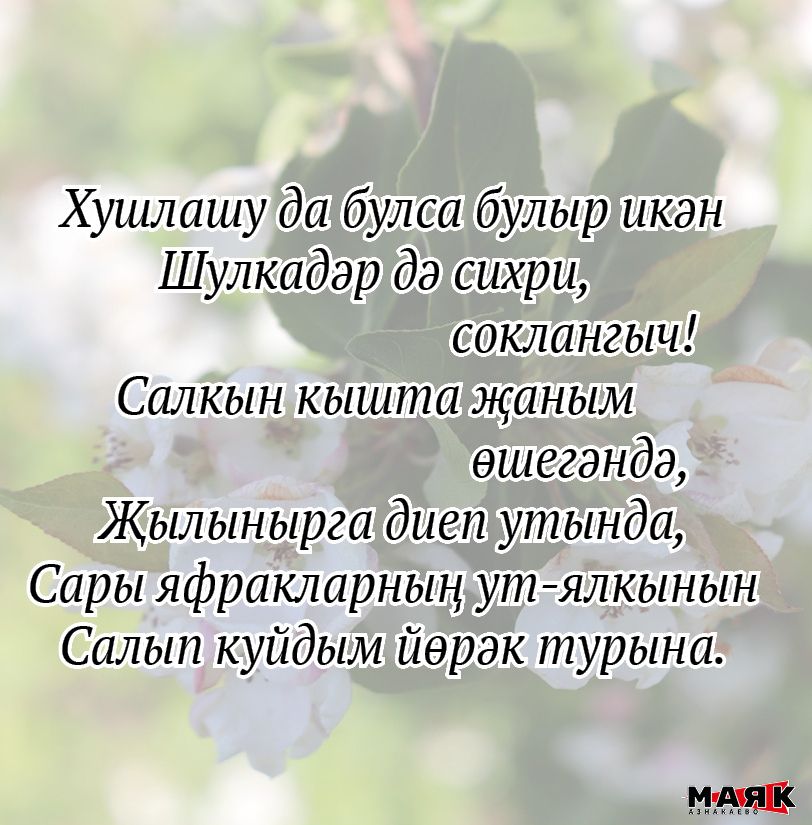 Резеда Шәрипованың иҗаты