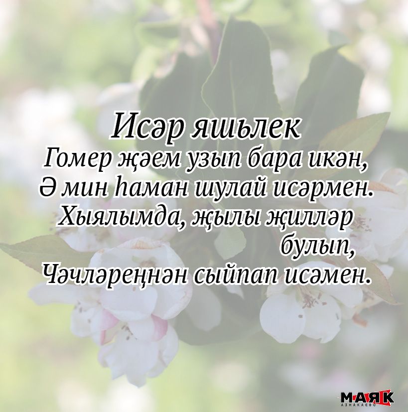 Нәсимә Фазлыева иҗаты