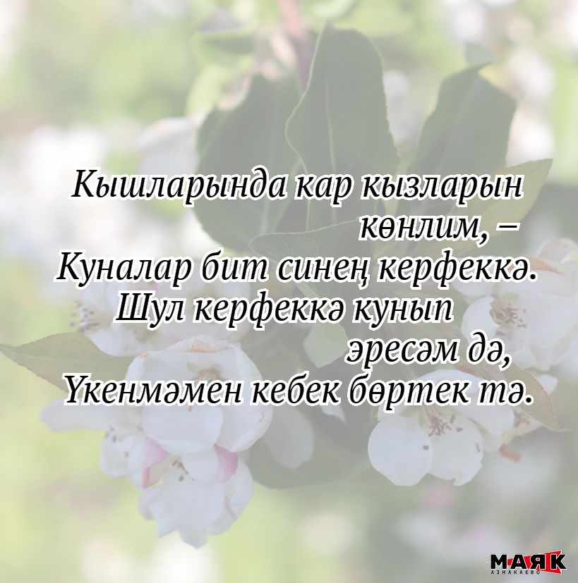 Нәсимә Фазлыева иҗаты