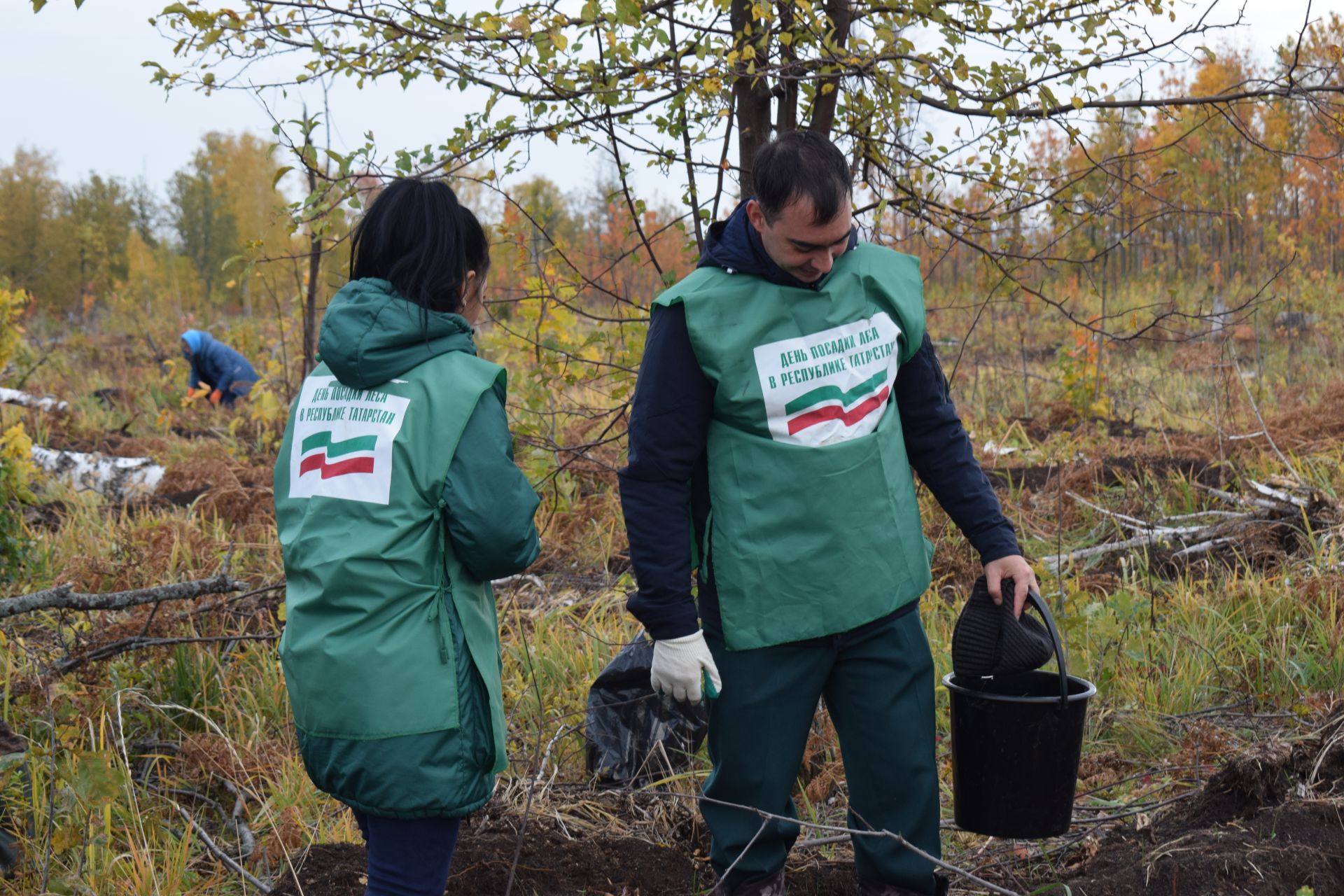 В Азнакаево прошла акция «День посадки леса»