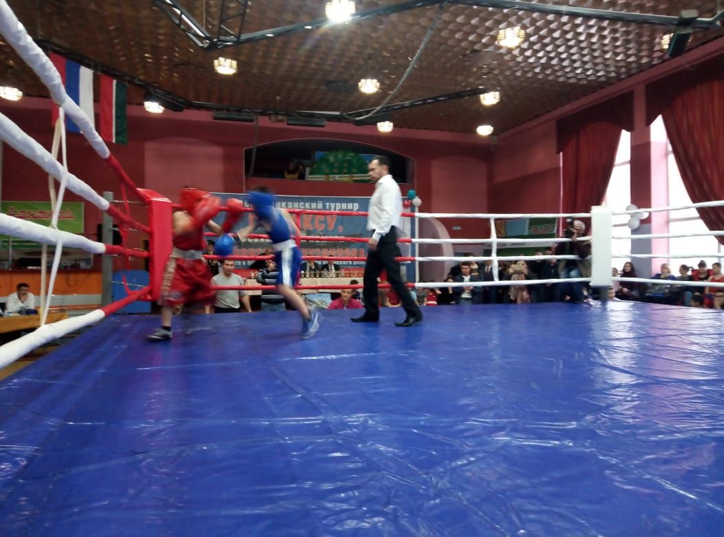 В Азнакаево проходит республиканский турнир по боксу