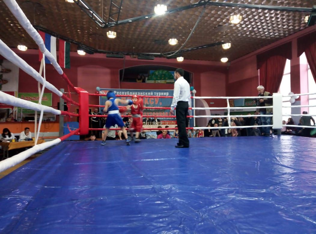 В Азнакаево проходит республиканский турнир по боксу