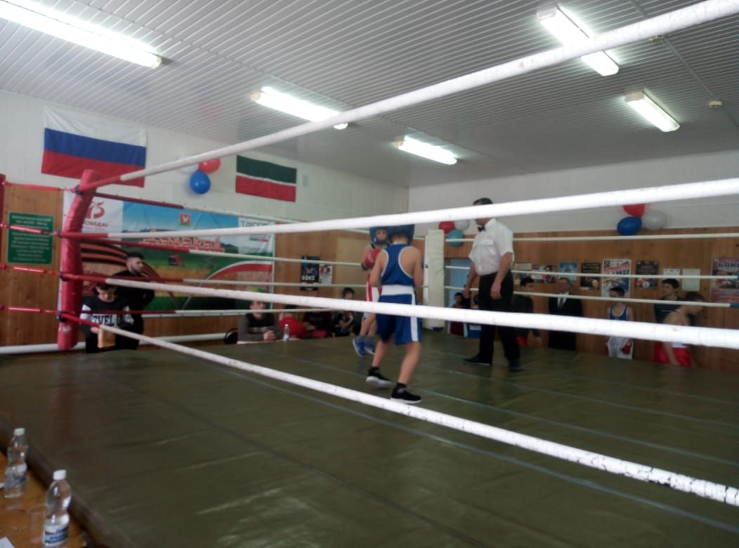 Боксеры со всей республики собрались в Азнакаево