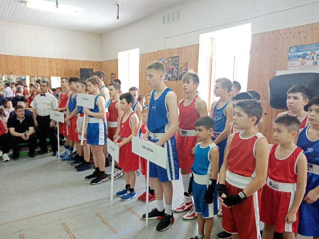 Боксеры со всей республики собрались в Азнакаево