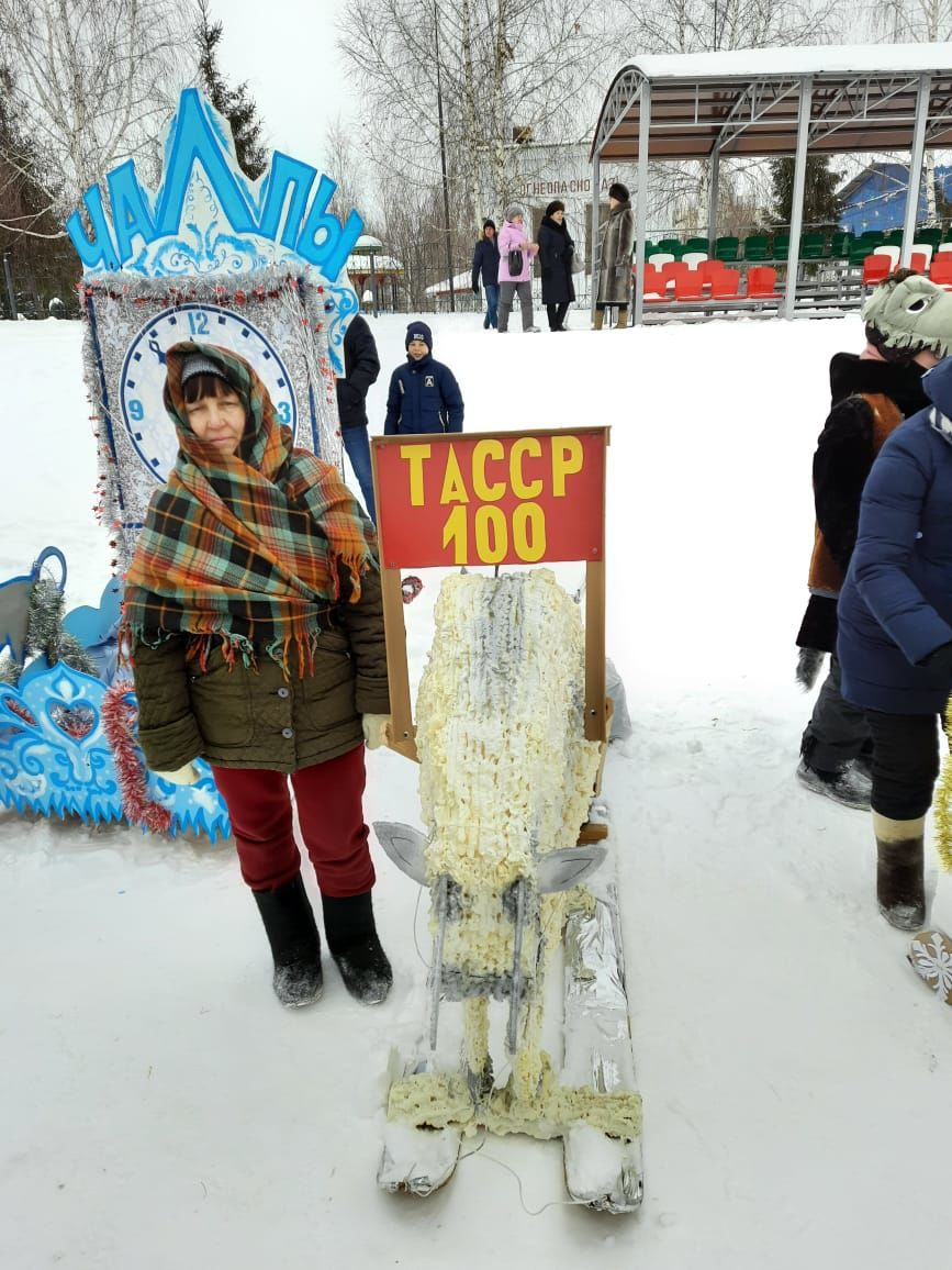 В Азнакаево прошел фестиваль креативных саней "SunnyФЕСТ"