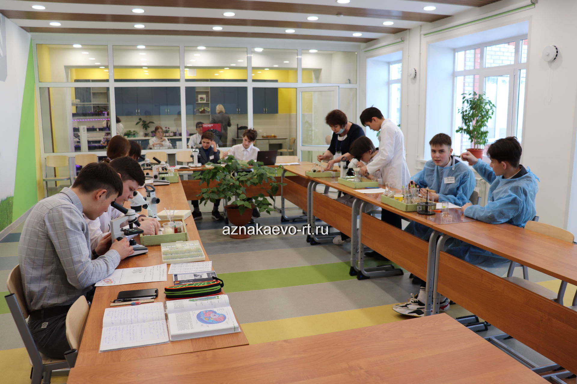 Школьники Азнакаевского района выращивают клонированные деревья