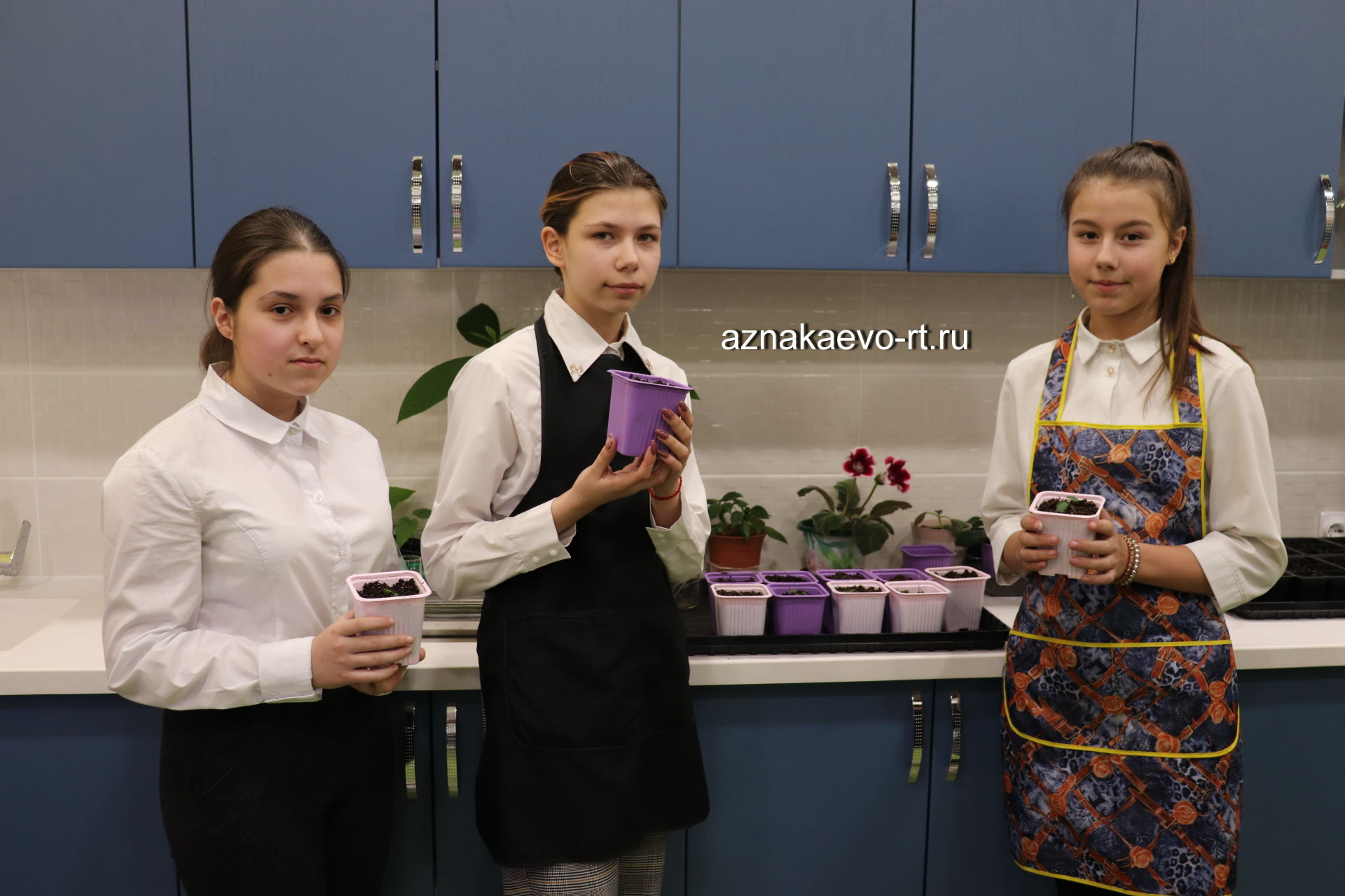 Школьники Азнакаевского района выращивают клонированные деревья