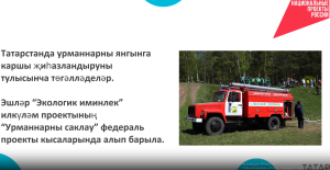 Татарстанда урманнарны янгынга каршы төзекләндерү тулысынча төгәлләнде