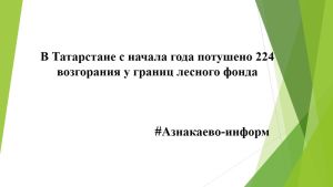 В Татарстане с начала года потушено 224 возгорания у границ лесного фонда