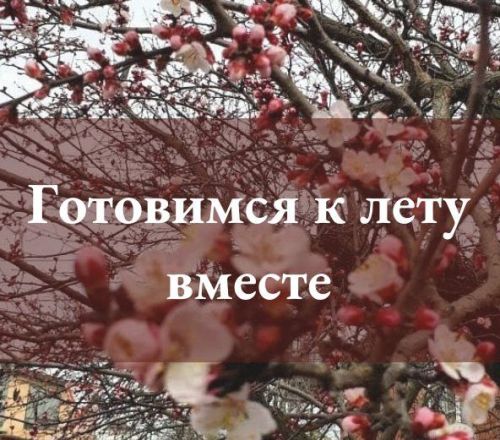 Май – месяц, в течение которого еще можно успеть подготовиться к лету
