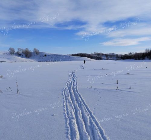 Зимние приключения: лыжная прогулка в новогодние дни