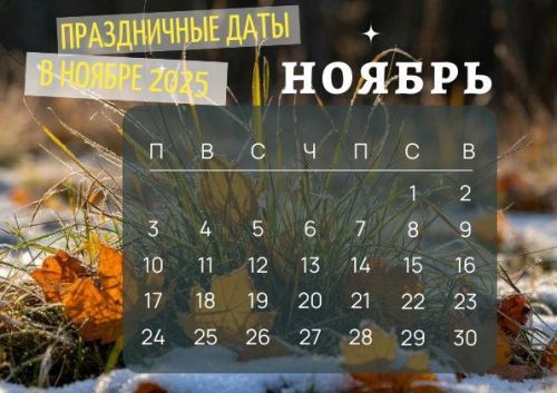 Праздничные даты в ноябре 2025 года