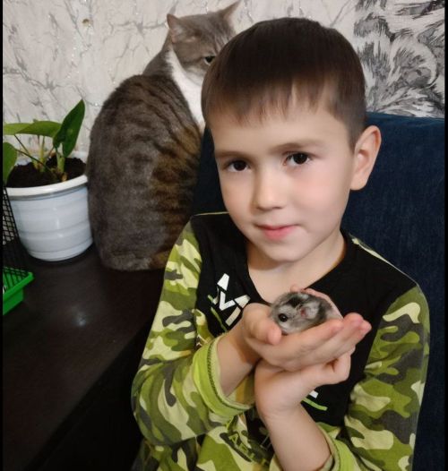 Настоящие Том и Джерри у нас дома