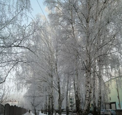 Прогноз погоды в Татарстане на 13 февраля