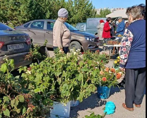 Азнакайлылар, көзге ярминкәгә килегез!