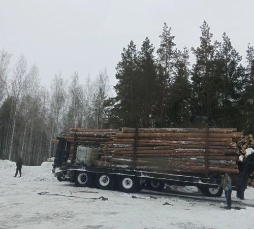 50 тонн древесины из Азнакаево - в поддержку бойцов СВО