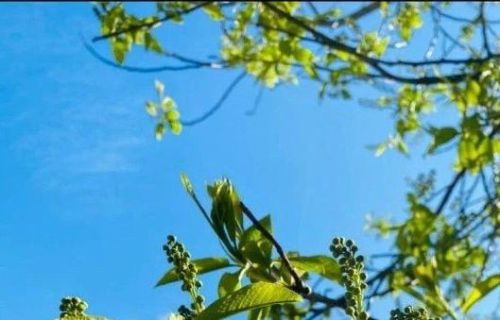 Прогноз погоды в Татарстане на субботу, 23 мая