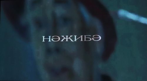 Азнакайда Нәҗибә Ихсанованы искә алдылар