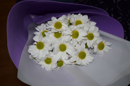 Азнакайда фельдшерлар көнен билгеләп үтәләр