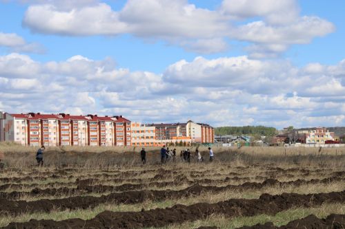 Азнакаевцы присоединились к Международной акции «Сад памяти»