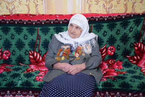 В Азнакаево глава района посетил ветеранов Великой Отечественной войны