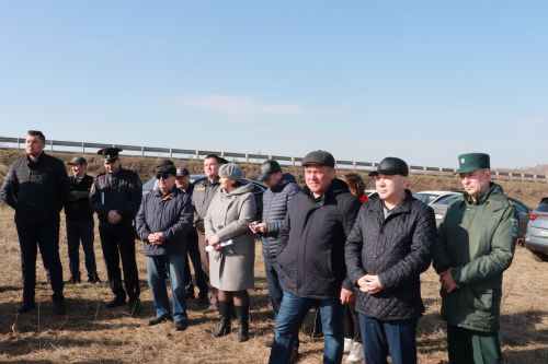 Азнакай басуларында эш гөрли
