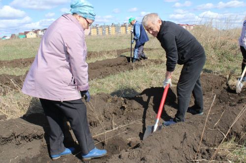 Азнакайлылар «Хәтер бакчасы» халыкара акциясенә кушылдылар