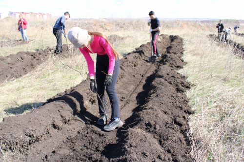 Азнакайлылар «Хәтер бакчасы» халыкара акциясенә кушылдылар