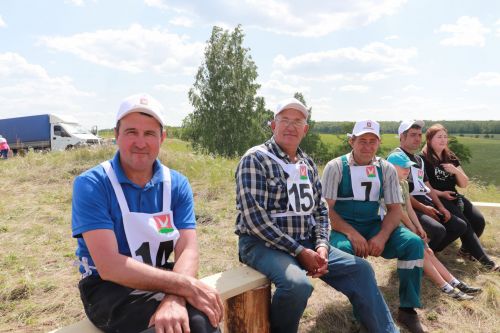 Азнакайда Сабанчылар ярышы узды
