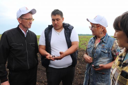 Азнакай районында комиссия чәчүлекләрне кабул итте