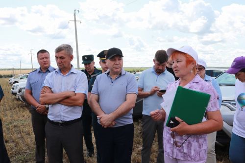 На азнакаевских полях началась жатва
