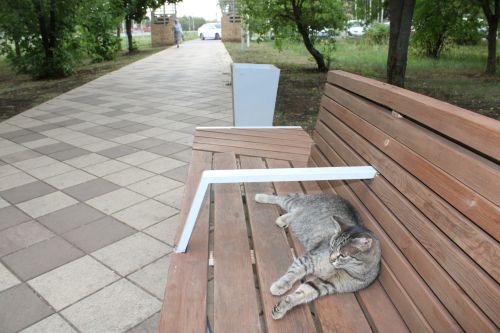 В Азнакаево ожидается потепление в ближайшие дни