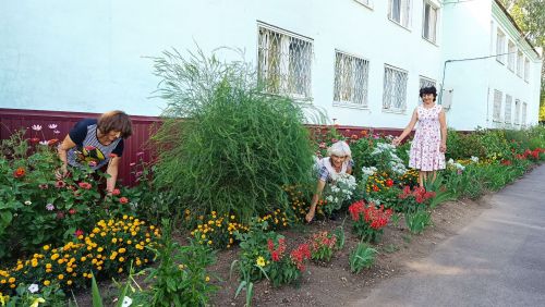 В азнакаевском комплексном центре «Омет» успешно используется технология «Гарденотерапия»