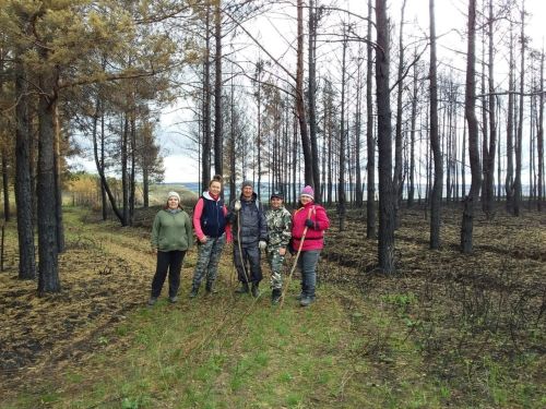 Приключения сотрудников Центра детского творчества г. Азнакаево в дикой природе