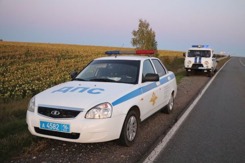 В Азнакаевском районе трёхлетний ребёнок погиб под колёсами грузовика