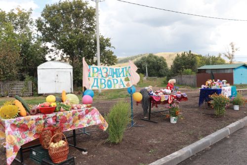 Азнакай муниципаль район башлыгы Марсель Шәйдуллин авылларда төзекләндерү эшләре белән танышты