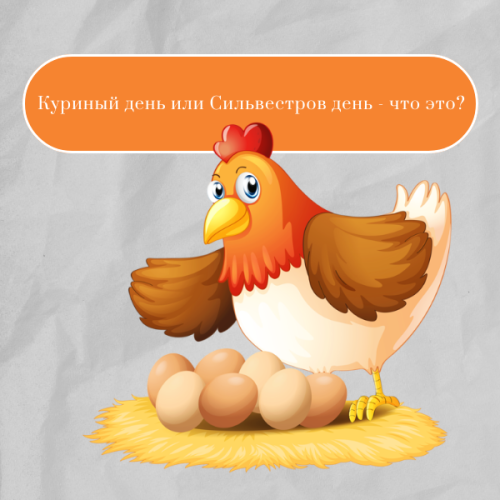 15 января - Куриный день