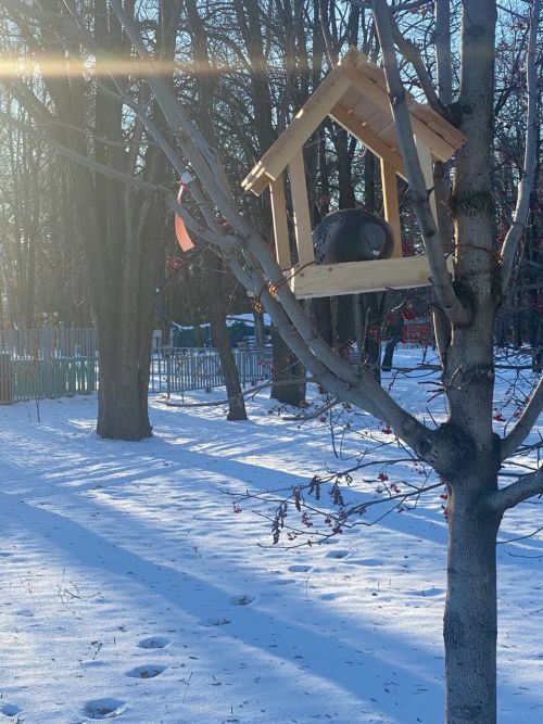Прогноз погоды в городе Азнакаево