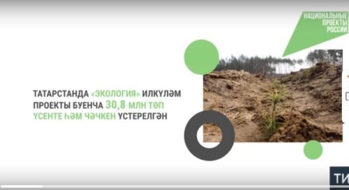 Татарстанда «Экология» илкүләм проекты буенча 30,8 млн агач үсентесе үстерелгән
