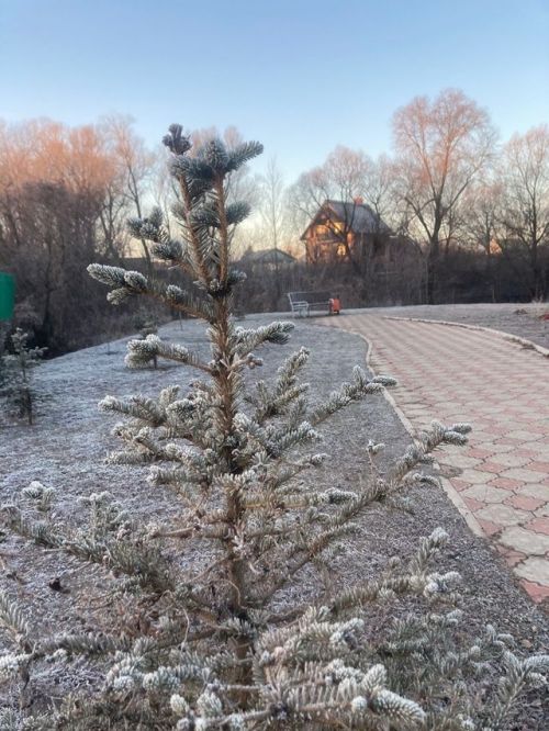 Снегопады в Москве не дойдут до Татарстана