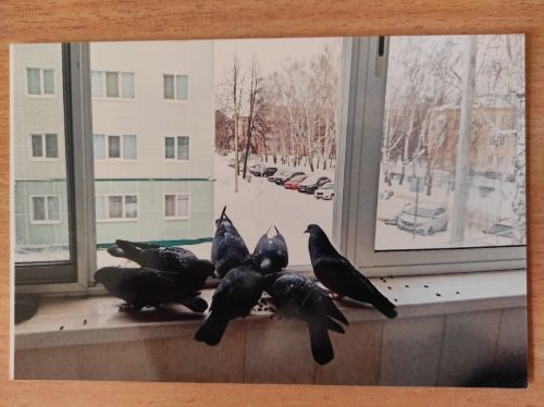 Валентина Махмутова: «Фотография – это светопись»