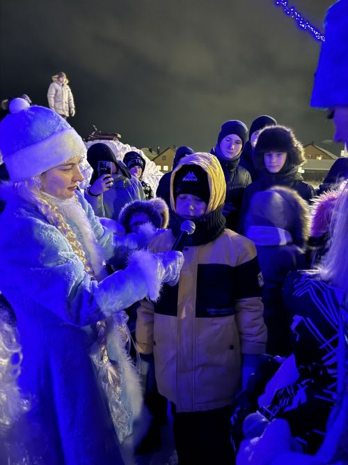 В микрорайоне Монолит зажглась новогодняя елка